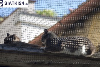 Siatki Murowana Goślina - Siatka na balkony dla kota i zabezpieczenie dzieci dla terenów Murowanej Goślinie